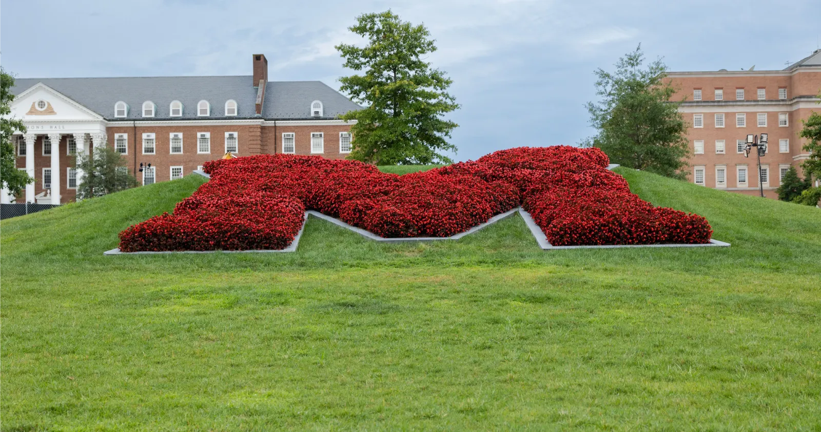The iconic University of Maryland M filled with red blossoming florals.
