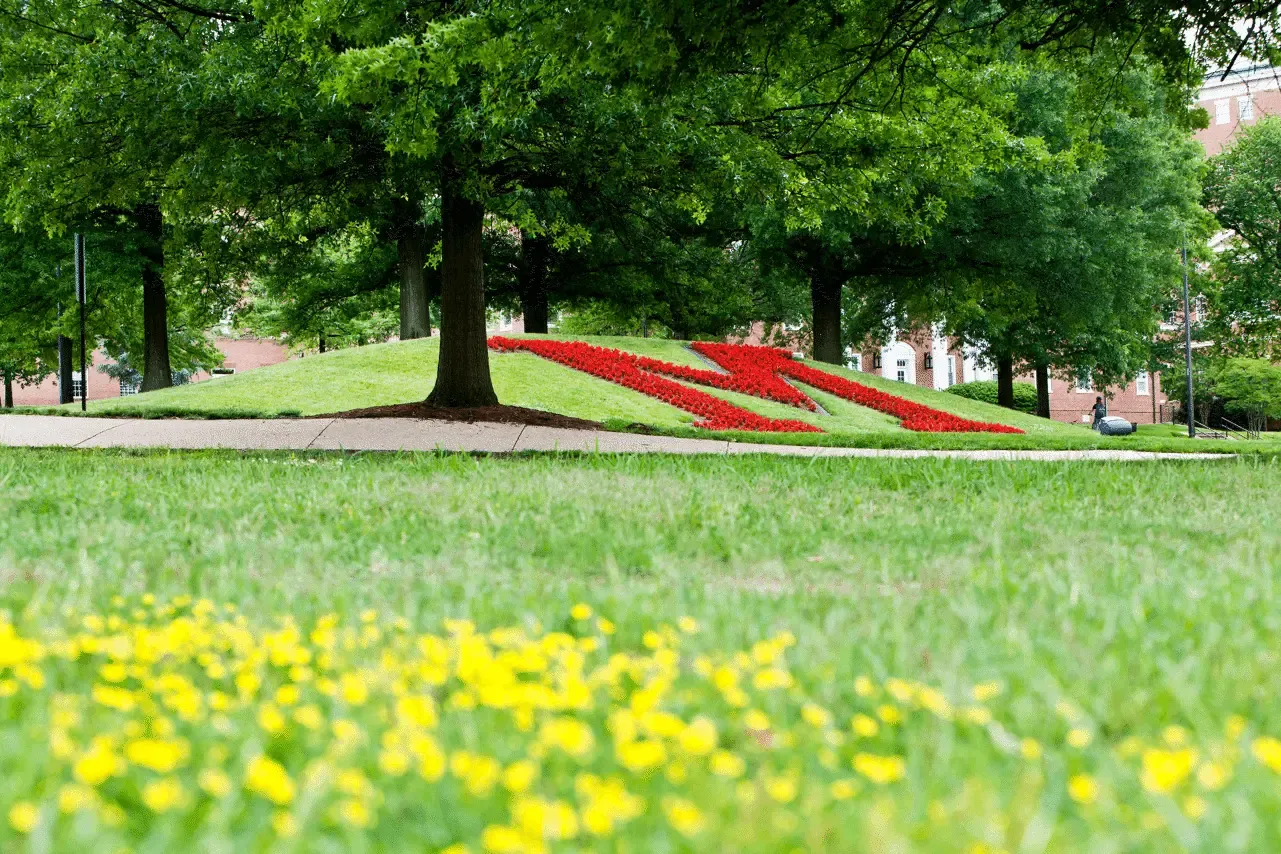 The heart of the University of Maryland Campus, the M Circle flourishing with red seasonals