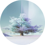 fantastical tree