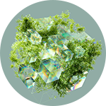 vegetation in an isometric shape