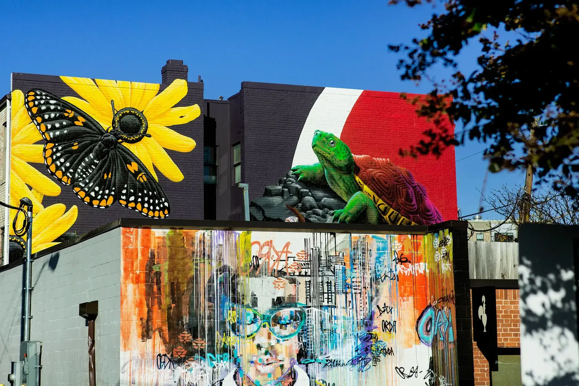 Three murals featured on Knox road in downtown College Park including Baltimore Checkerspot butterfly, black-eye Susans, a Diamondback Terrapin basking on some rocks, and a portrait of a person in wide winged eye-glasses.