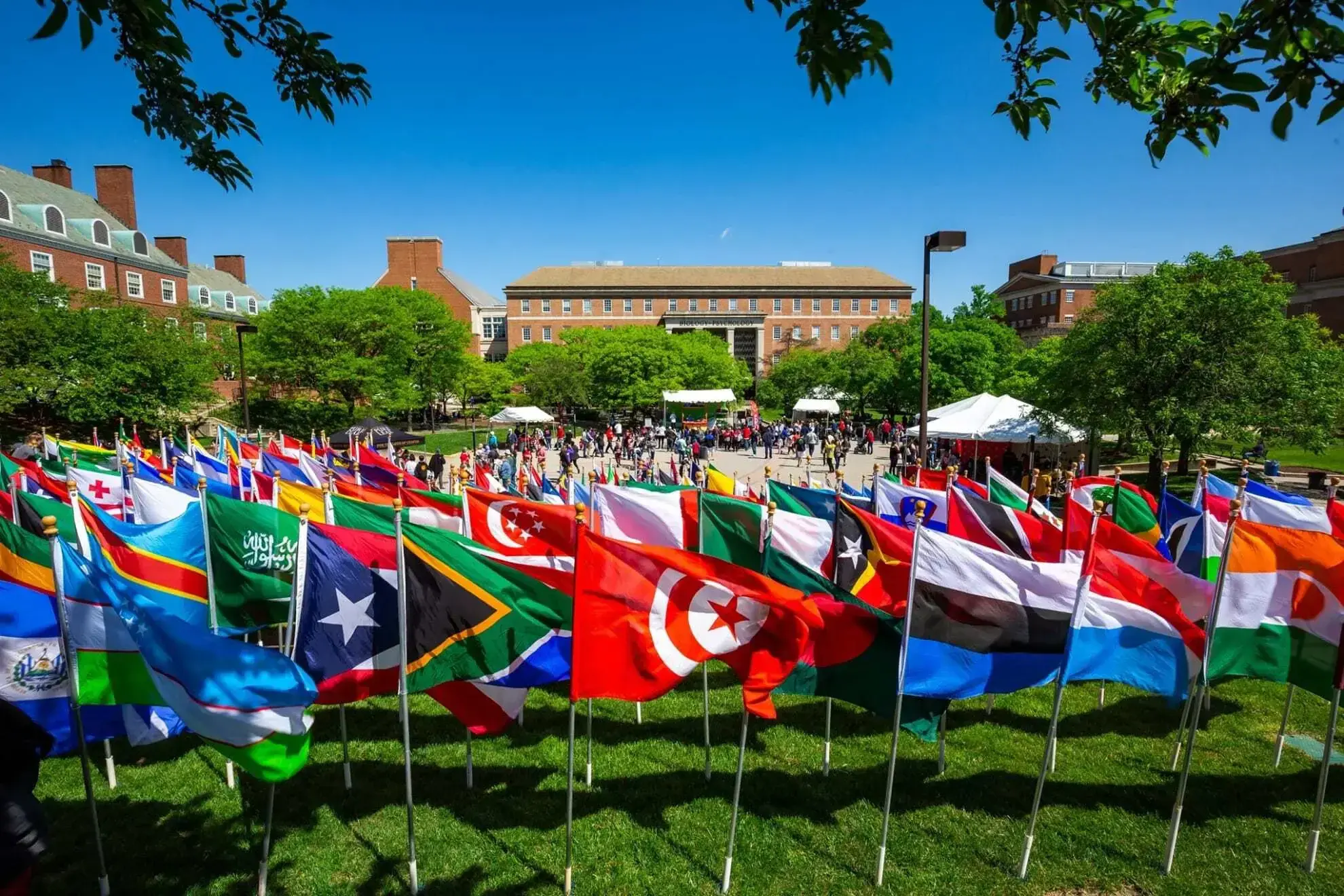 A colorful array of country flags are waving tall and proudly in an afternoon wind