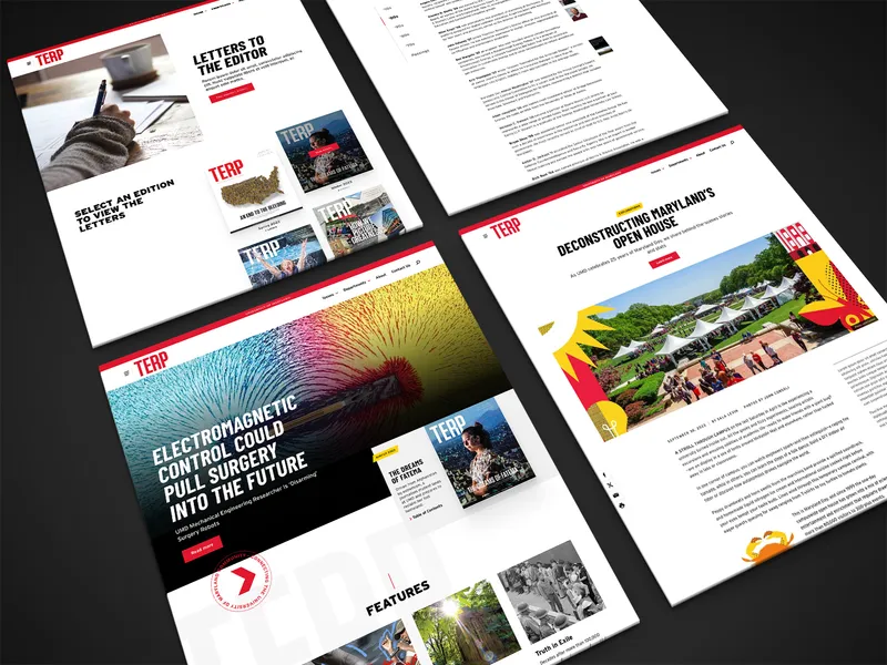 Views of Terp magazine pages